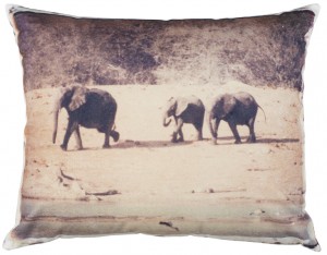 elefant